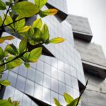 Green leaf representing sustainability and energy efficiency for EPC compliance in South Africa